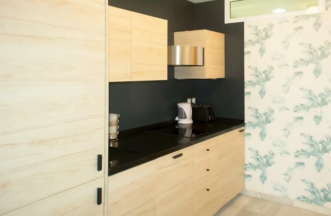 Beach & Center Premiun Malaga Apartment